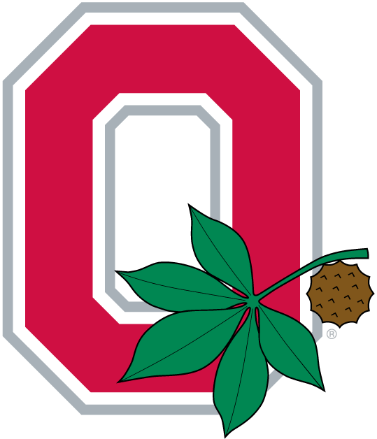 Ohio State Buckeyes 1968-Pres Alternate Logo v2 diy fabric transfer